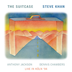 Suitcase cover